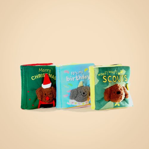 IMG_8808 拷贝 Interactive Sniffing Book