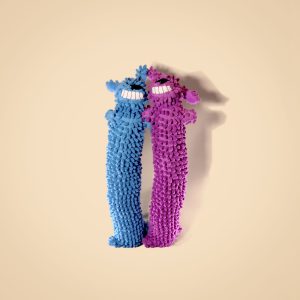 Noodle Buddy Dog Toy with Squeaker