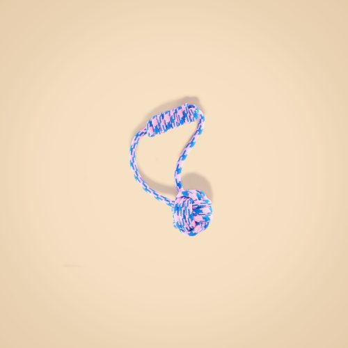 IMG_8865 拷贝 Dog Chew Toy