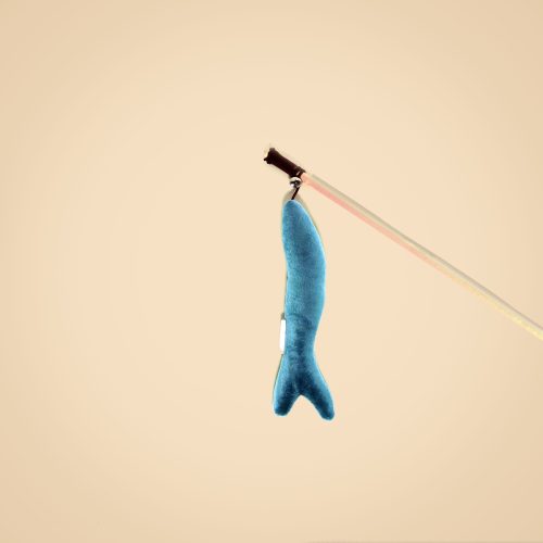 Whale Shaped Cat Teaser Wand