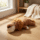 Plush Animal Squeaky Dog Toys