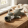 Plush Animal Squeaky Dog Toys
