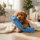 Noodle Buddy Dog Toy with Squeaker