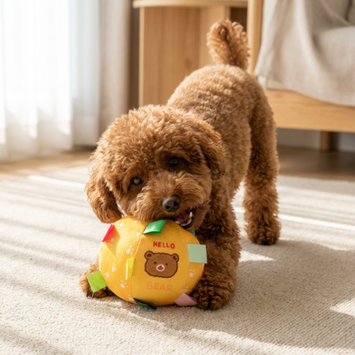 狗狗与黄色响铃球互动图 Squeaky Dog Ball