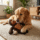 🦍 Tough Plush Gorilla Dog Toy