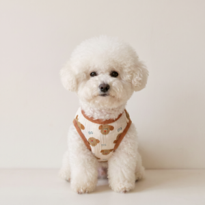 比熊穿满熊棉纱背心-正方形 🐶 Cartoon Print Pet Vest