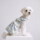 Floral Blue Ruffle Pet Dress
