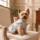 Floral Blue Ruffle Pet Dress