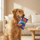 Squeaky Dog Toy – Crispy Snack Bag Series