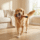 Fuzzy Drink Buddy – Plush Bottle Toy for Pups